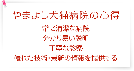 やまよし犬猫病院の心得