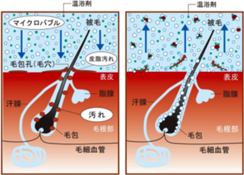 効果の概念図